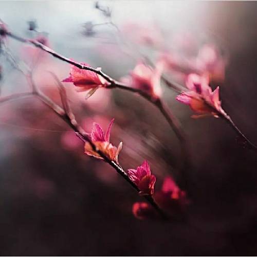 حجت قائمی تو کوچه های خاکی دنبال هم میکردیم از همون اول